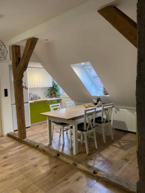 Apartament Ordona 9 - widok na jezioro i park, Szczecinek